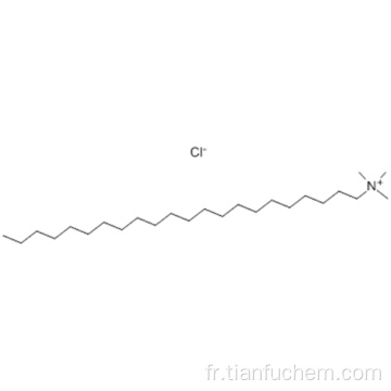 1-Docosanaminium, N, N, N-triméthyle, chlorure (1: 1) CAS 17301-53-0